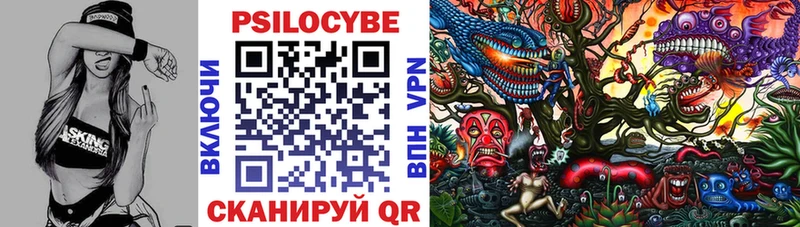 mega зеркало Бородино Псилоцибиновые грибы MAGIC MUSHROOMS